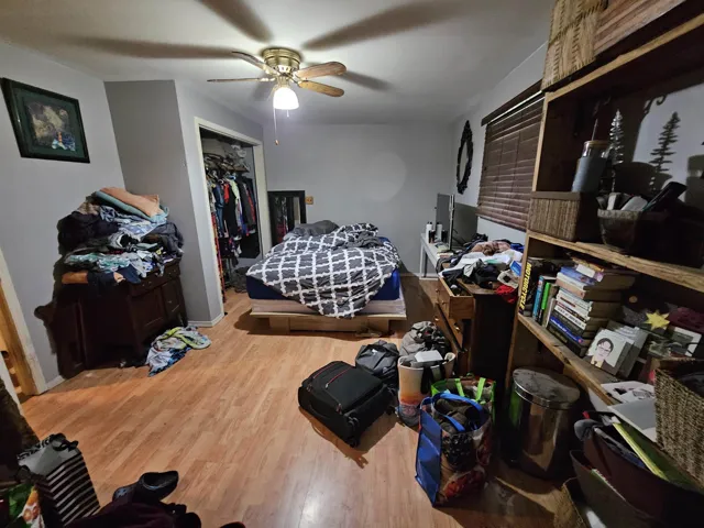 Bedroom with light wood-type flooring, ceiling fan, and a spacious closet