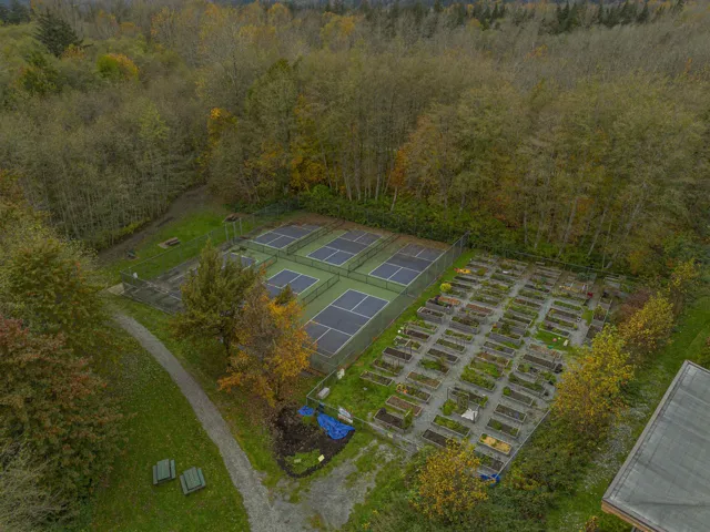 Drone / aerial view of a heavily wooded area