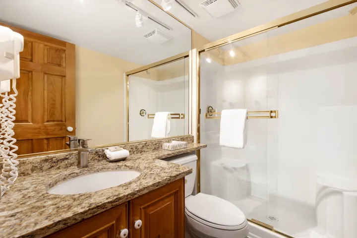Bathroom with toilet, vanity, a stall shower, and visible vents