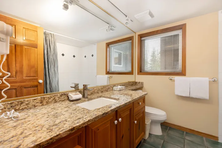 Bathroom featuring toilet, vanity, curtained shower, baseboards, and visible vents