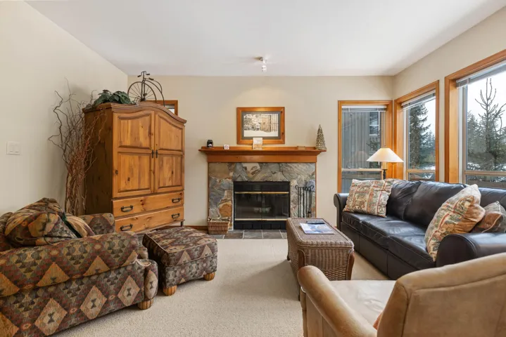 Living area featuring carpet flooring and a stone fireplace