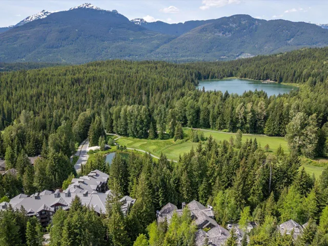 Bird's eye view of a water and mountain view and a forest