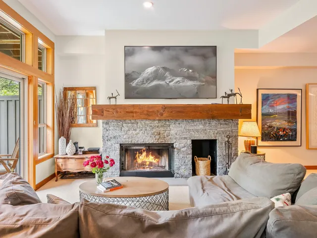 Living area featuring a fireplace and carpet