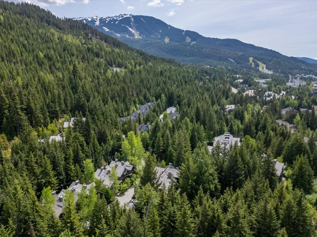 Bird's eye view of a mountain backdrop and a forest