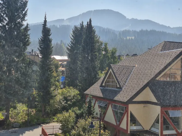 Mountain view featuring a heavily wooded area