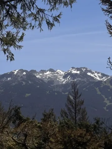 Mountain backdrop featuring snow-capped peaks and forested slopes under a clear sky