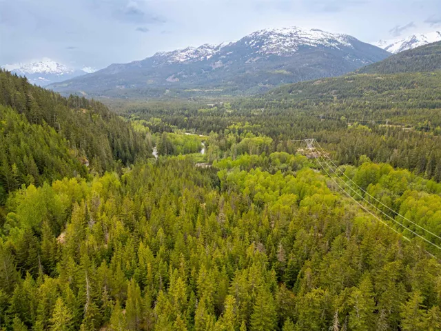 Mountain view with a forest