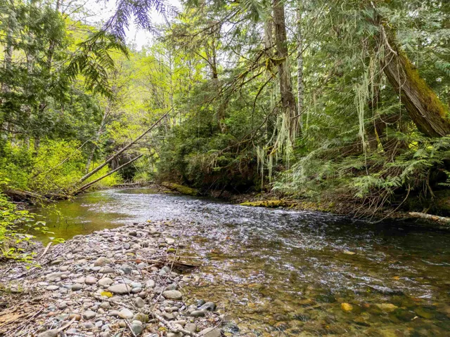 Water view featuring a heavily wooded area