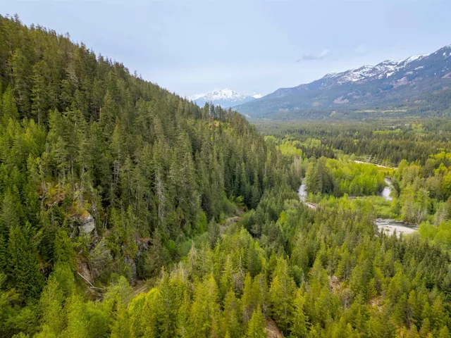 View of mountain backdrop featuring a heavily wooded area