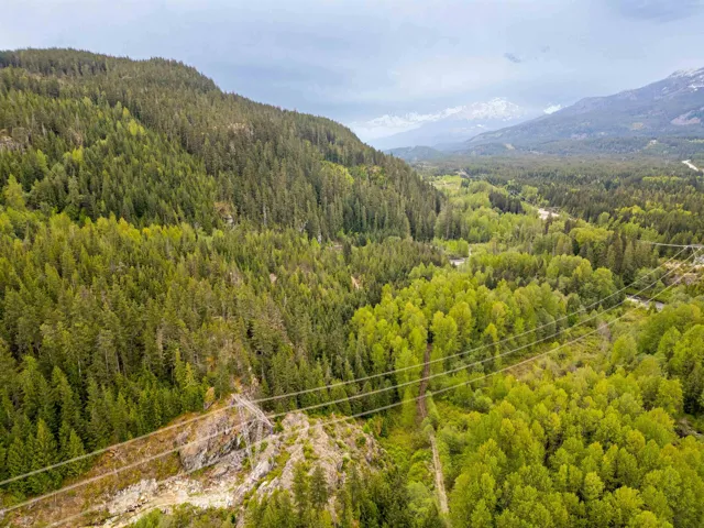 Mountain view with a heavily wooded area