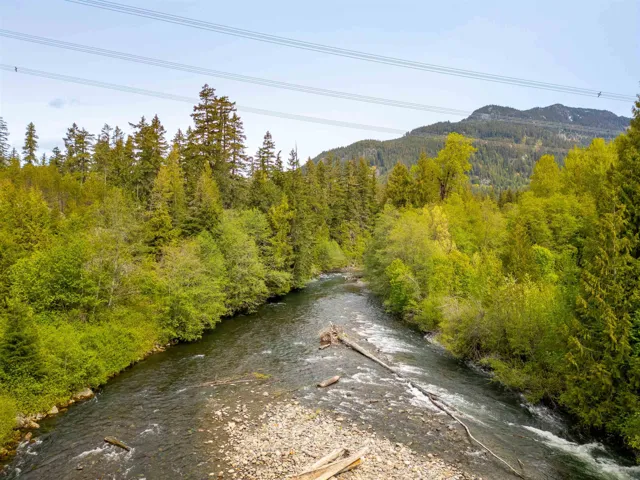 View of mountain background with a heavily wooded area