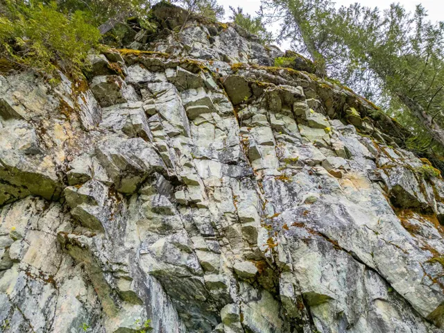 View of local wilderness