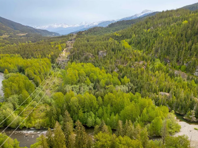 Drone / aerial view of a heavily wooded area and a mountain backdrop