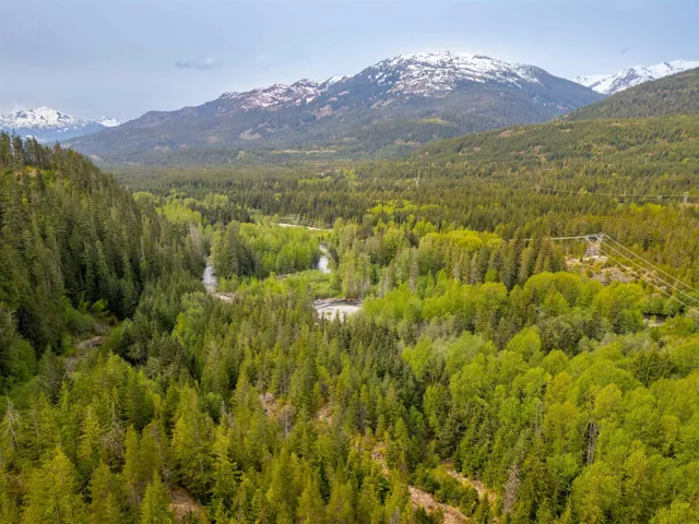 View of mountain background with a forest