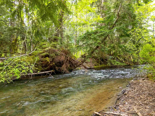 View of local wilderness