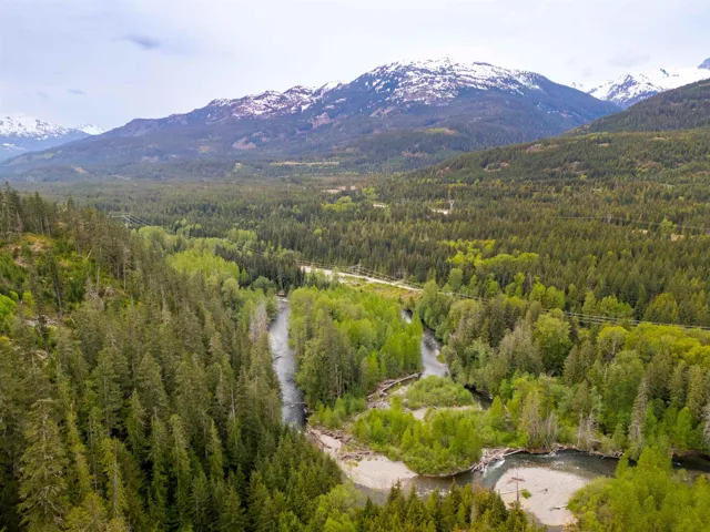 Aerial view of property and surrounding area featuring a heavily wooded area and a mountain backdrop