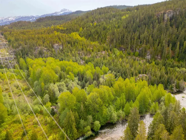 Aerial view of a heavily wooded area and a mountain backdrop