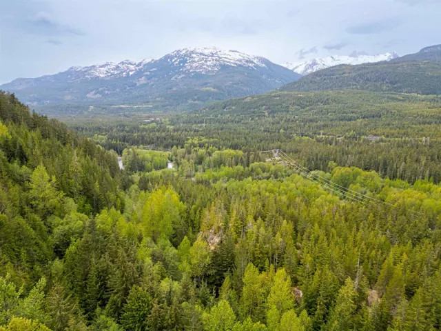 Mountain view with a heavily wooded area