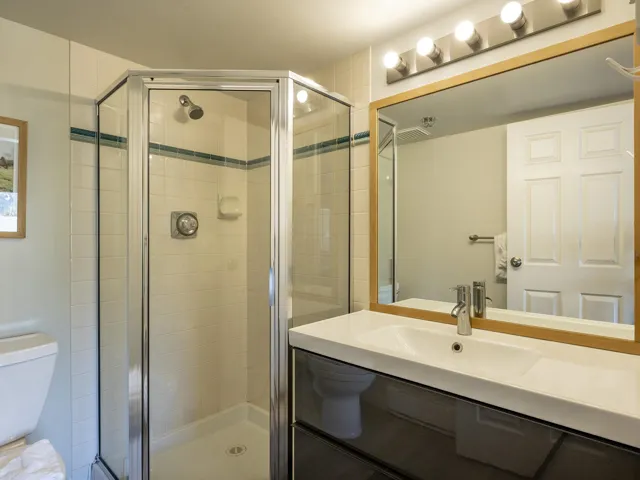 Full bathroom with a stall shower and vanity