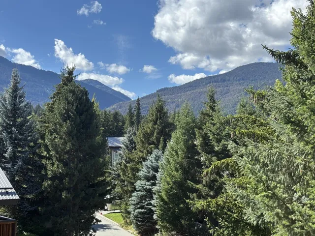 Mountain view with a heavily wooded area