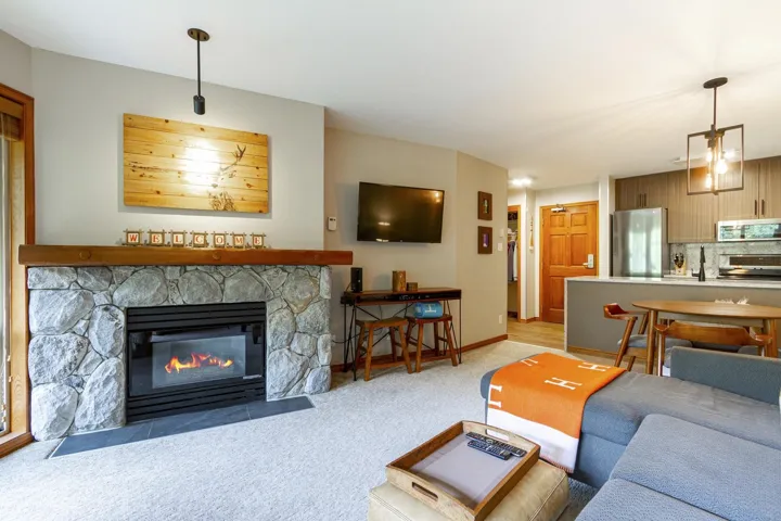 Living area with a stone fireplace, light colored carpet, and baseboards