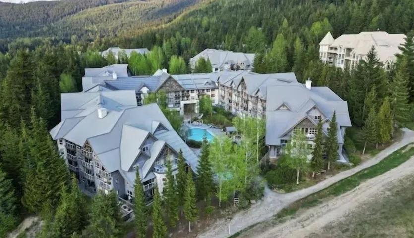 Aerial view of a forest and a pool