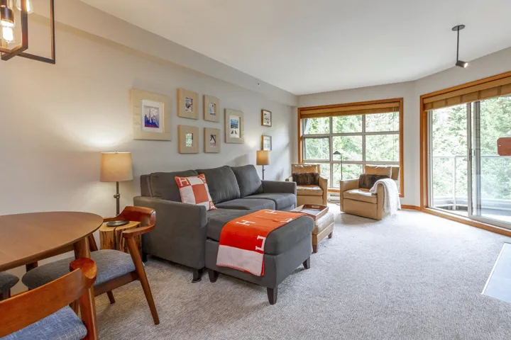 Carpeted living room featuring plenty of natural light