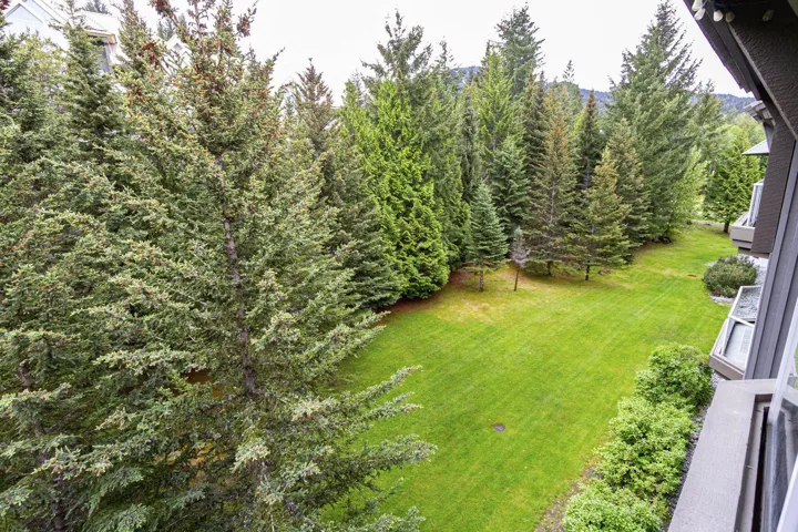 View of green lawn