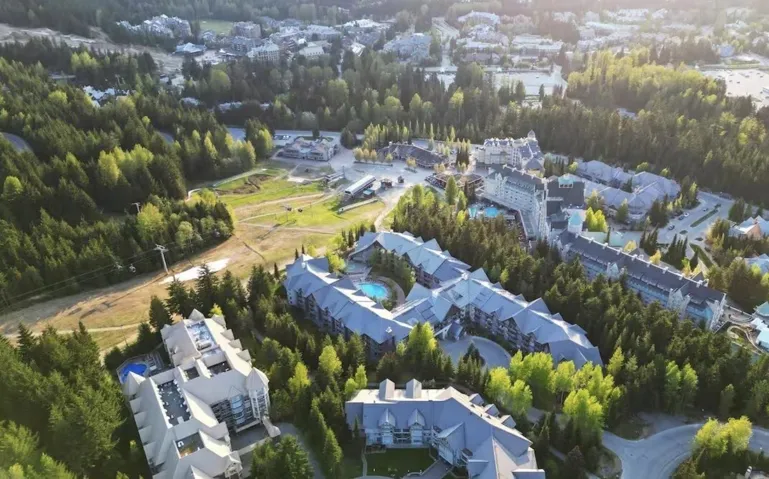 Bird's eye view of a heavily wooded area