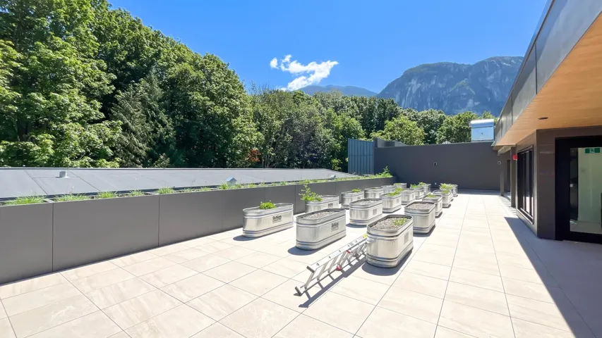 View of patio / terrace featuring a mountain view and a wooded view