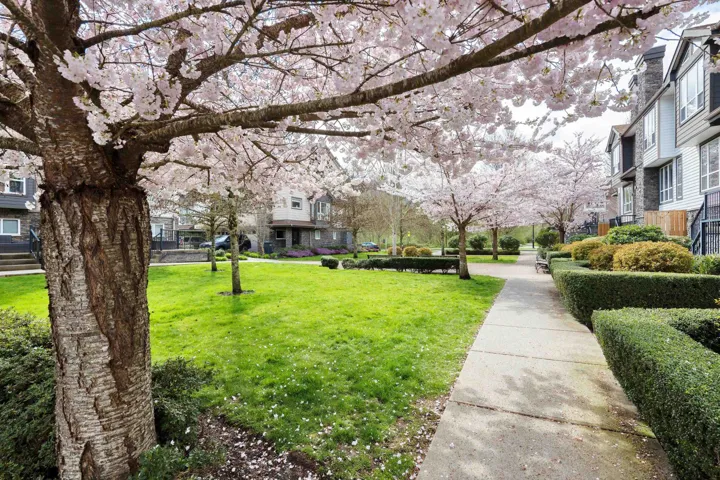View of home's community featuring a yard