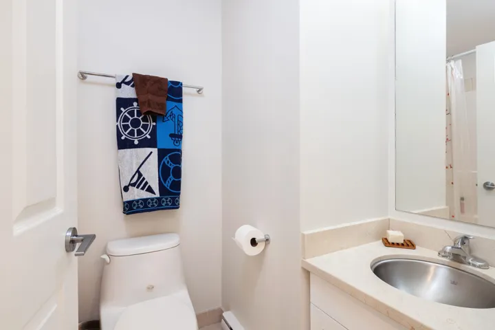 Full bathroom featuring toilet and vanity