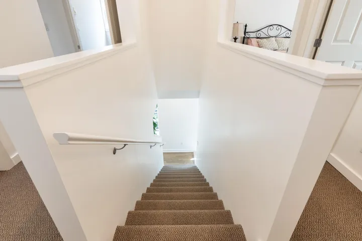 Stairs featuring carpet floors