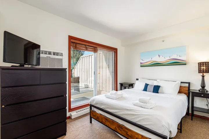 Patio access through sliding glass doors, window-mounted air conditioning unit, light-colored walls, carpeted flooring, and a built-in baseboard heater