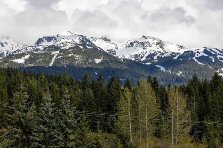 Mountain view featuring a wooded view