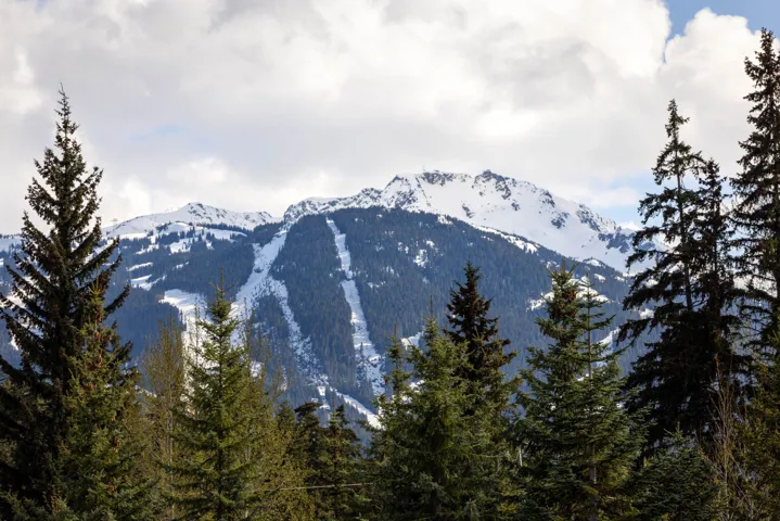 Mountain view with a forest view
