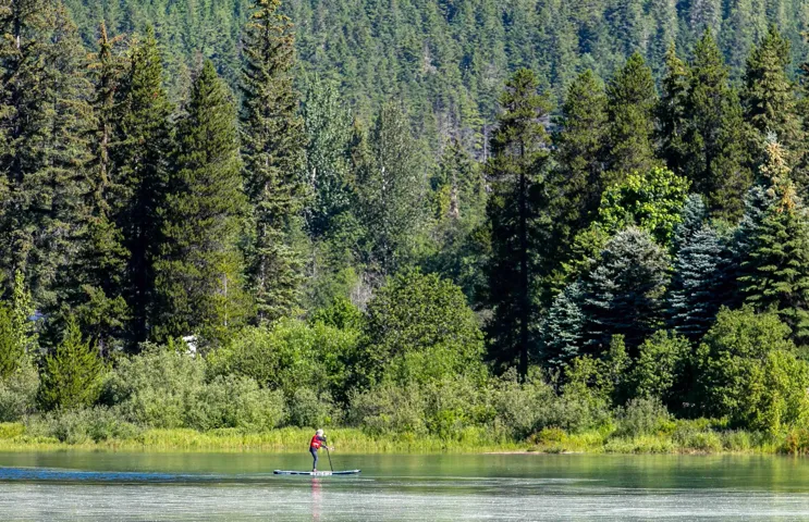 Water view featuring a wooded view