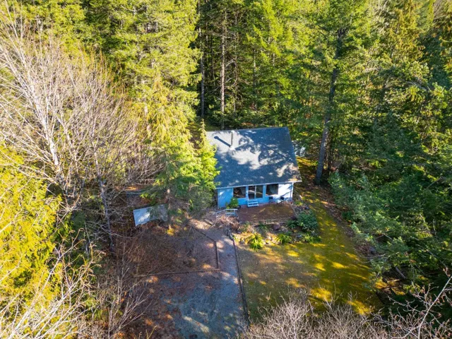 Aerial view with a view of trees