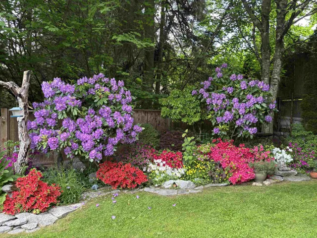 Yard