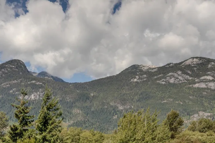 View of mountain backdrop featuring a forest