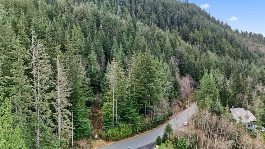 Aerial view of a heavily wooded area