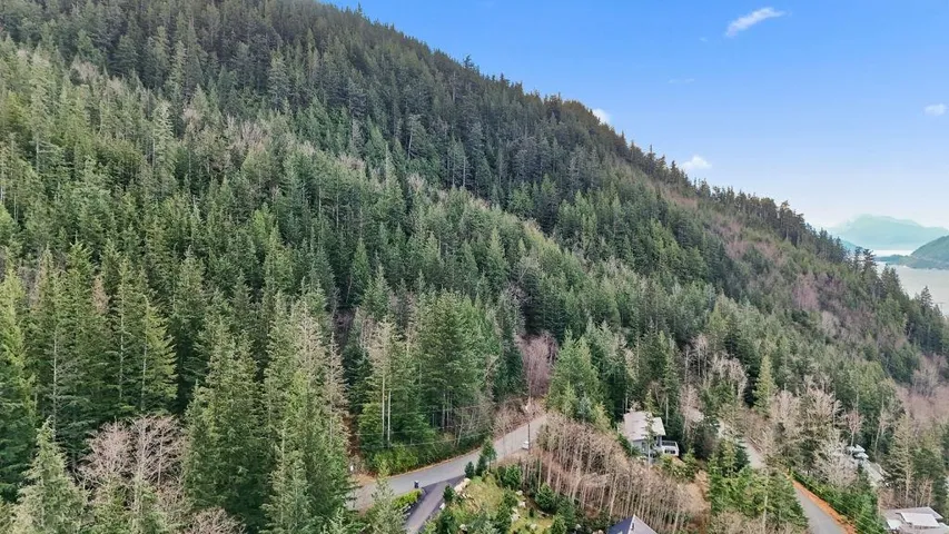 Bird's eye view of a forest and mountains