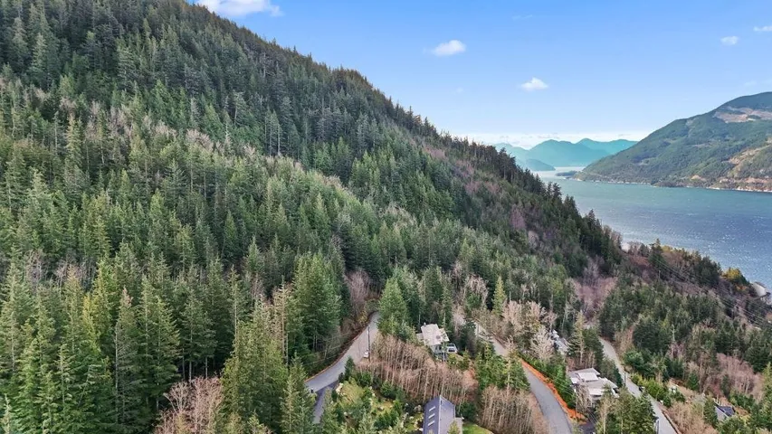 Drone / aerial view of a water and mountain view and a forest