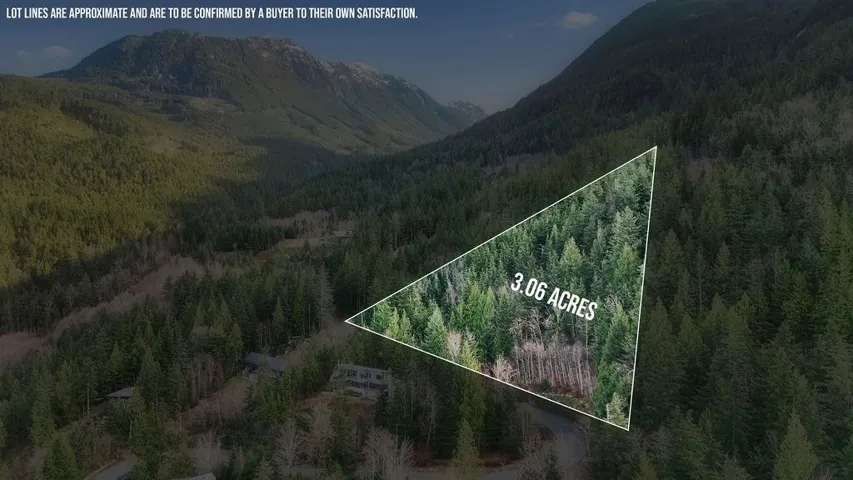 View of mountain background featuring a forest