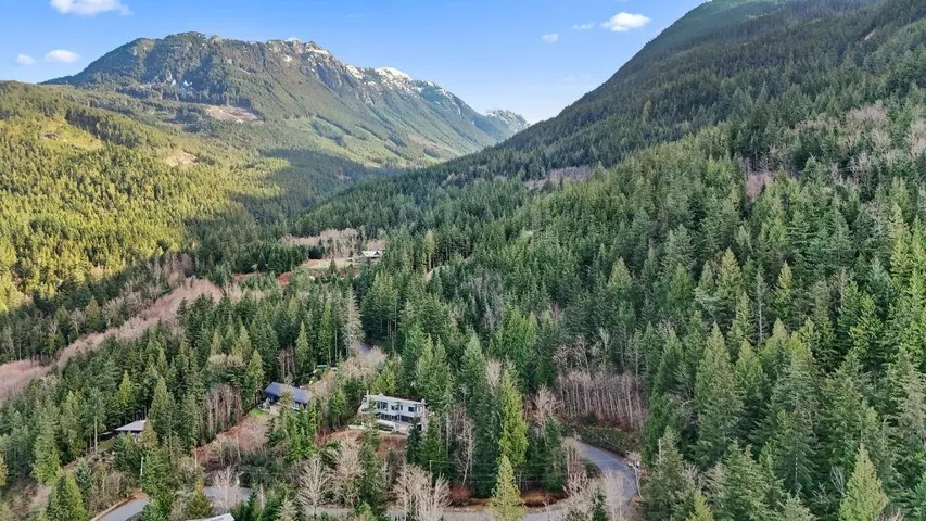 View of mountain backdrop with a forest