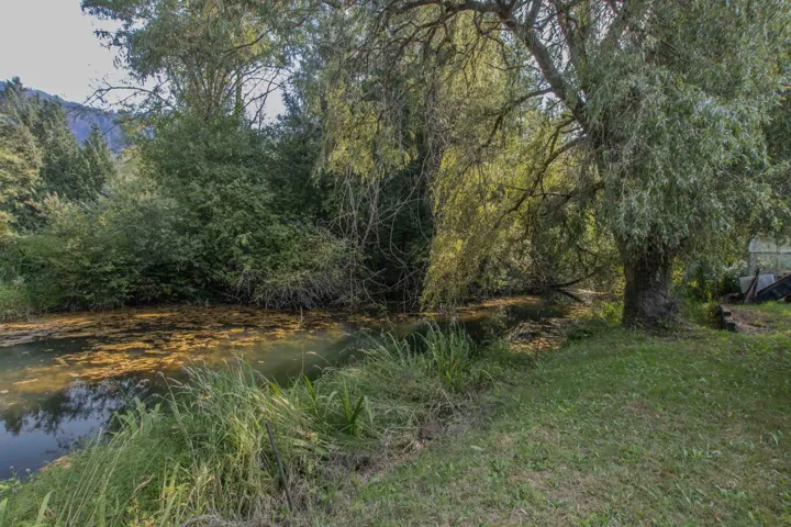 View of woods with a water view
