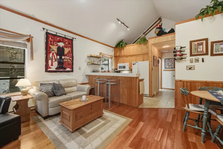 Living room featuring track lighting, light wood-style flooring, lofted ceiling, and a wainscoted wall