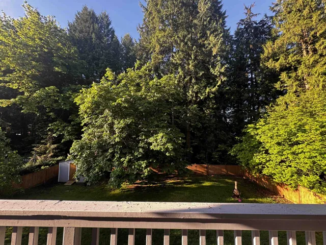 Expansive backyard featuring a manicured lawn, mature trees, and a privacy fence