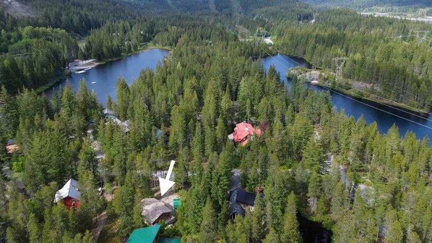 Birds eye view of property with a water view and a wooded view