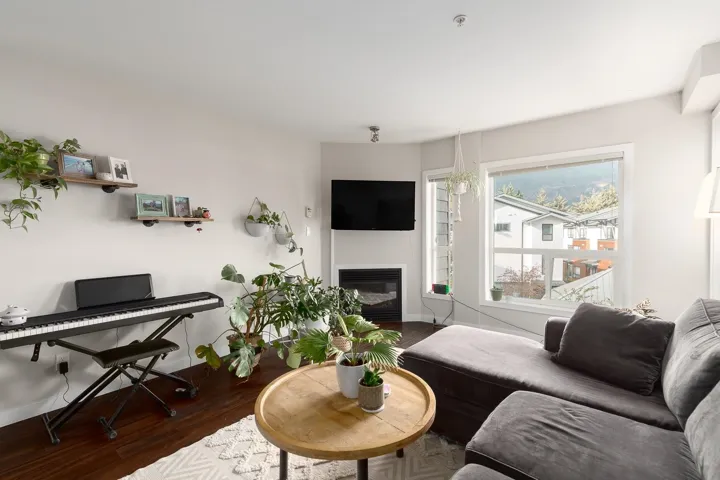 Living and fireplace